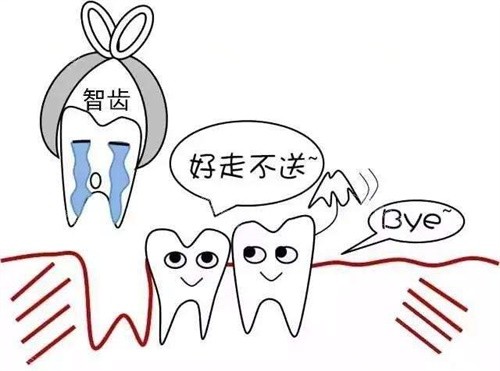 剝智慧牙痛嗎？局麻不痛操作，正規醫院術後遵循4項護理關鍵不腫痛