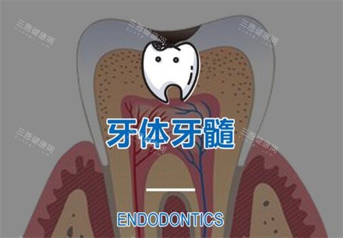 深圳市口腔医院睇牙贵唔贵？2025新收费价格表+香港患者悭钱攻略！