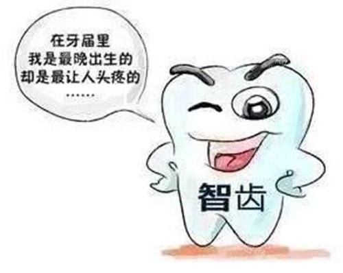 智齿动画示意图 智齿动画示意图