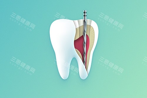 牙齿内部示意图