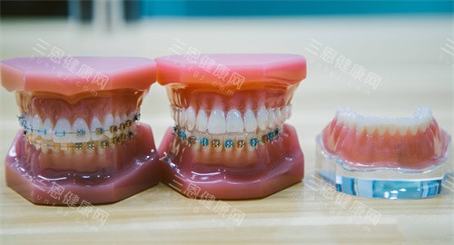 牙齿模型图片 牙齿模型图片