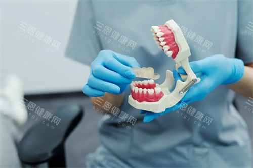 牙齿的模型 牙齿的模型