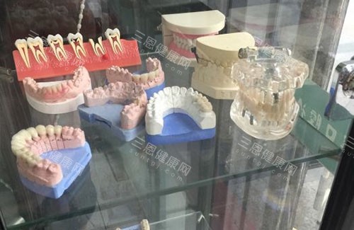 深圳葛景辉口腔牙齿模型展示图 深圳葛景辉口腔牙齿模型展示图